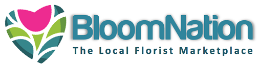 BloomNation Logo